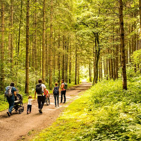 barrierefrei-dobratsch-naturpark-dobratsch-michael-stabentheiner-high-102-3