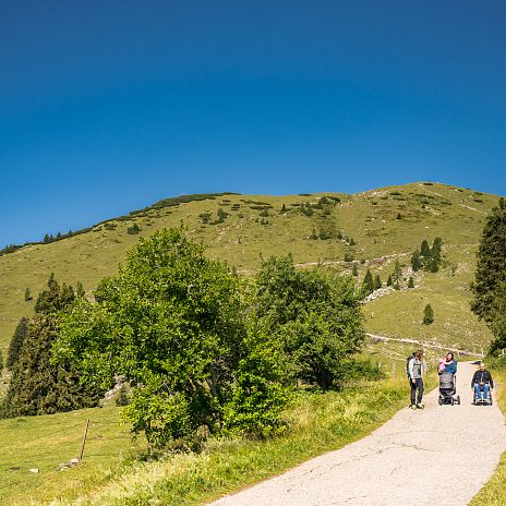 barrierefrei-dobratsch-naturpark-dobratsch-michael-stabentheiner-high-31-1
