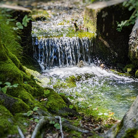 Dobratsch Rundwanderweg_Etappe 4_L_Quelle