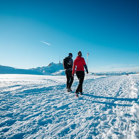 Winterwandern am Dobratsch 1