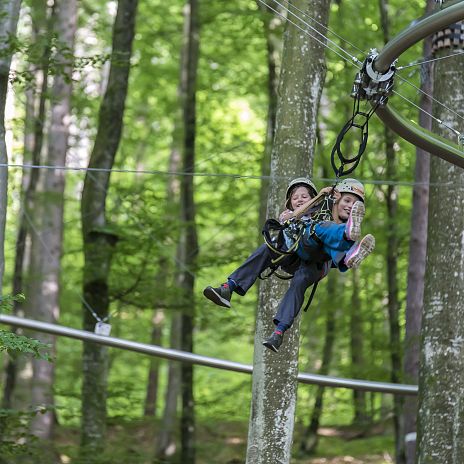 Family Wald 1
