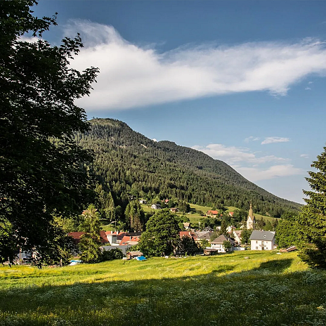 Frühling in Bleiberg