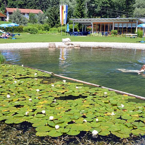 schwimmen-im-oeffentlichen-naturschwimmbad-puch-original-gemeinde-weissenstein-richard-kraemmer-1