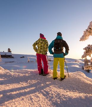 Snowshoe Hiking