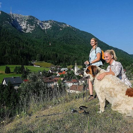bleiberg-hund-1