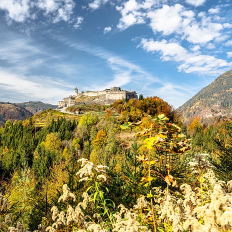 burg-landskron-region-villach-gmbh-gerhild-anderwald-1