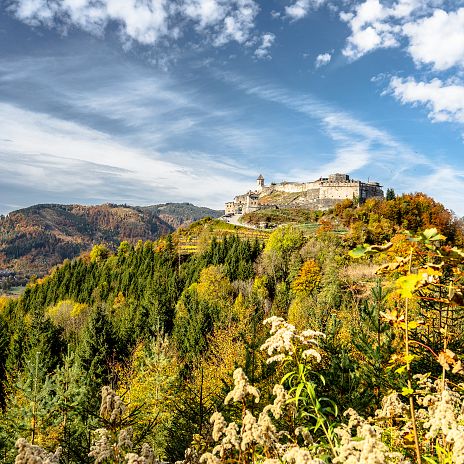 Burg Landskron Herbst