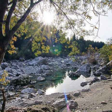 das-naturparkgebiet-schuett-am-fusse-des-dobratsches-region-villach-tourismus-gmbh-adrian-hipp-1