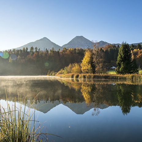 Der idyllische Aichwaldsee in der Gemeinde Finkenstein