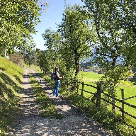 Dobratsch Rundwanderweg Etappe 2_M_Forststraße