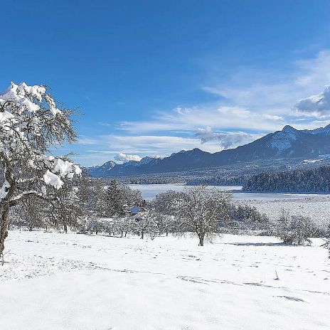 faaker-see-im-winter-region-villach-tourismus-gmbh-franz-gerdl-1