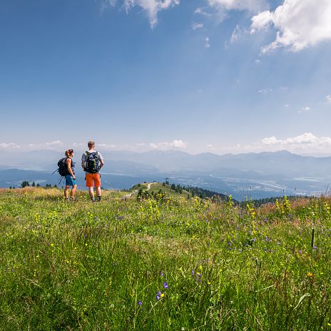 Gerlitzen Alpe Sommer Ausblick 3