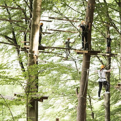 Kletterwald am Ossiacher See 4