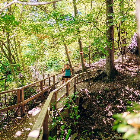 Nordic Walking Brücke 5