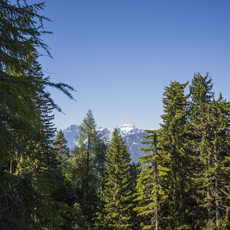 ossiacher-tauern-panorama-original-region-villach-tourismus-gmbh-martin-steinthaler-3