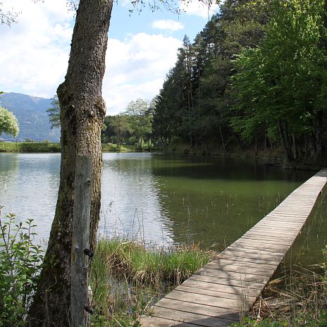 poellaner-teich-7-region-villach-tourismus-gmbh-mario-presinell-1