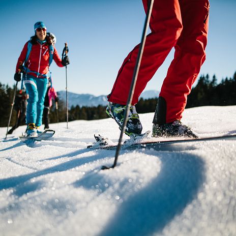 Skitour im Naturpark Dobratsch