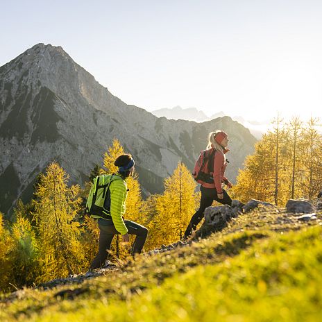 Wanderung zur Ferlacher Spitze 5