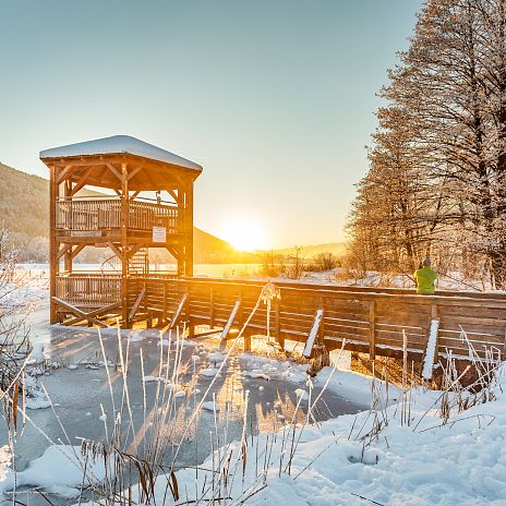 Winter im Bleistätter Moor - Aussichtsturm