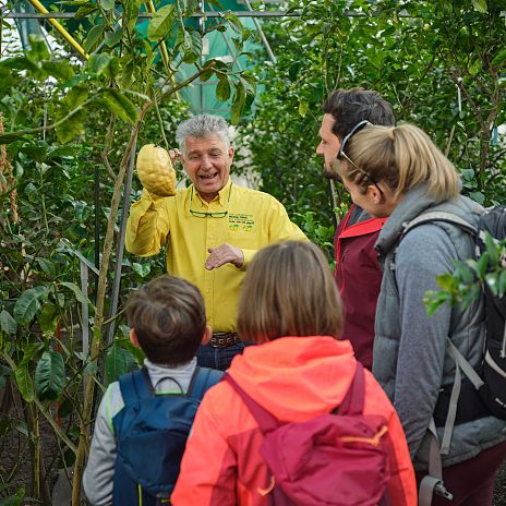 Zitrusgarten Führung 10