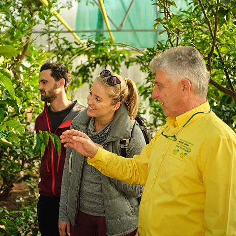 Zitrusgarten Führung 7