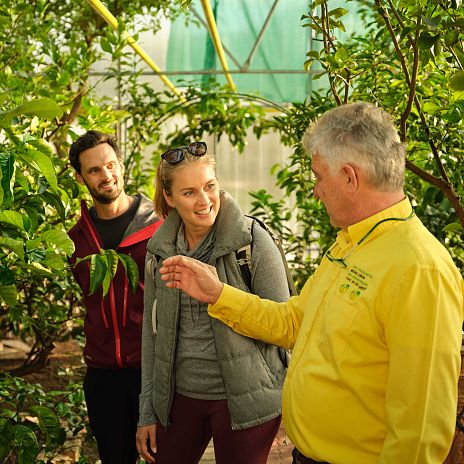 Zitrusgarten Führung 8