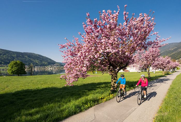 Region Villach Tourismus GmbH_2022_Michael Stabentheiner_Ossiacher See Frühling_low_40