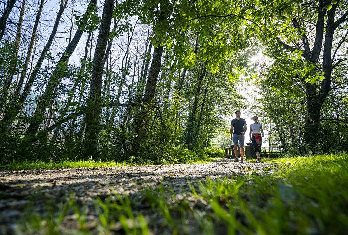 Slow Trail Bleistätter Moor Spazieren