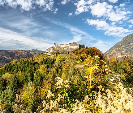Burg Landskron Herbst